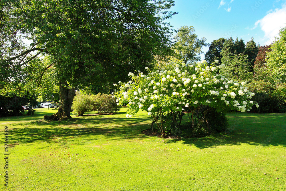 Obraz premium Beautiful garden in the park
