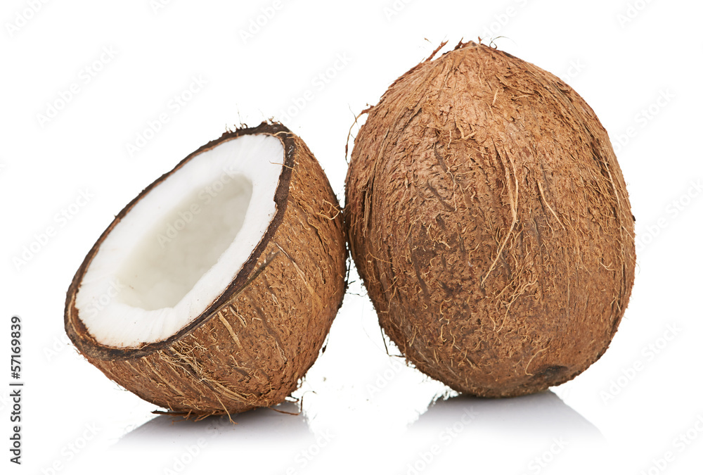 coconut on white coconut on white