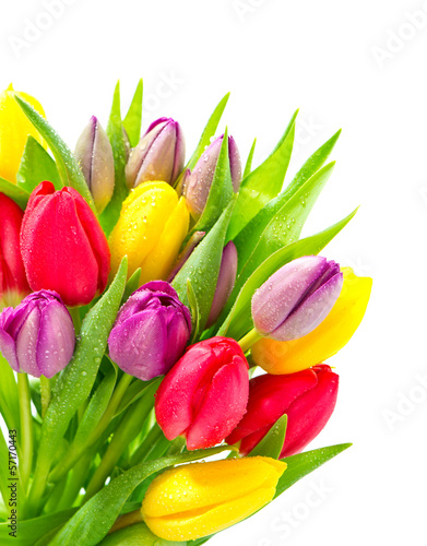 bouquet of fresh tulip flowers with water drops #57170443