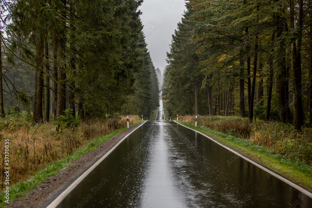 rainy countryside street