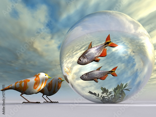 Canvas Print the fish and the birds