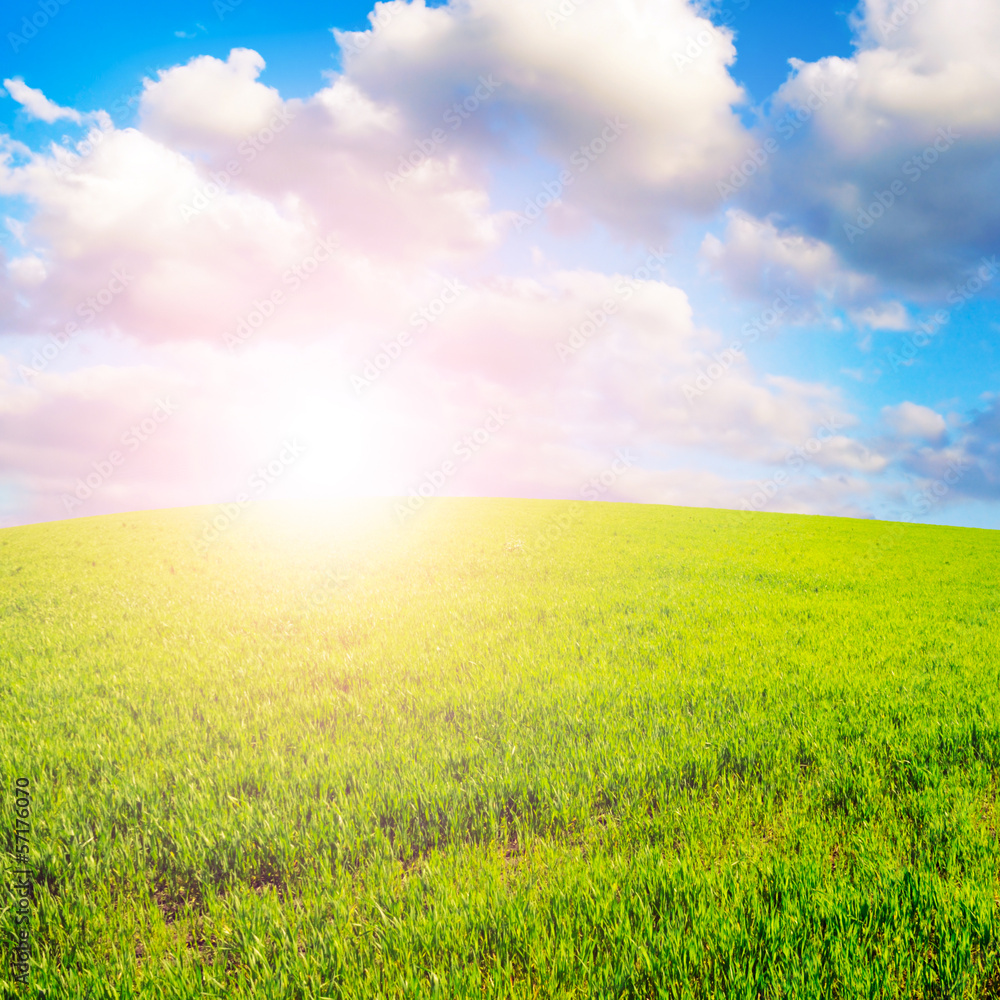 field and sky