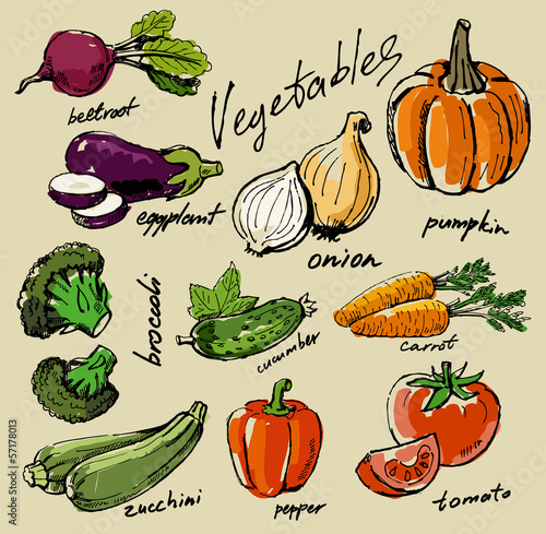 hand drawn vegetables