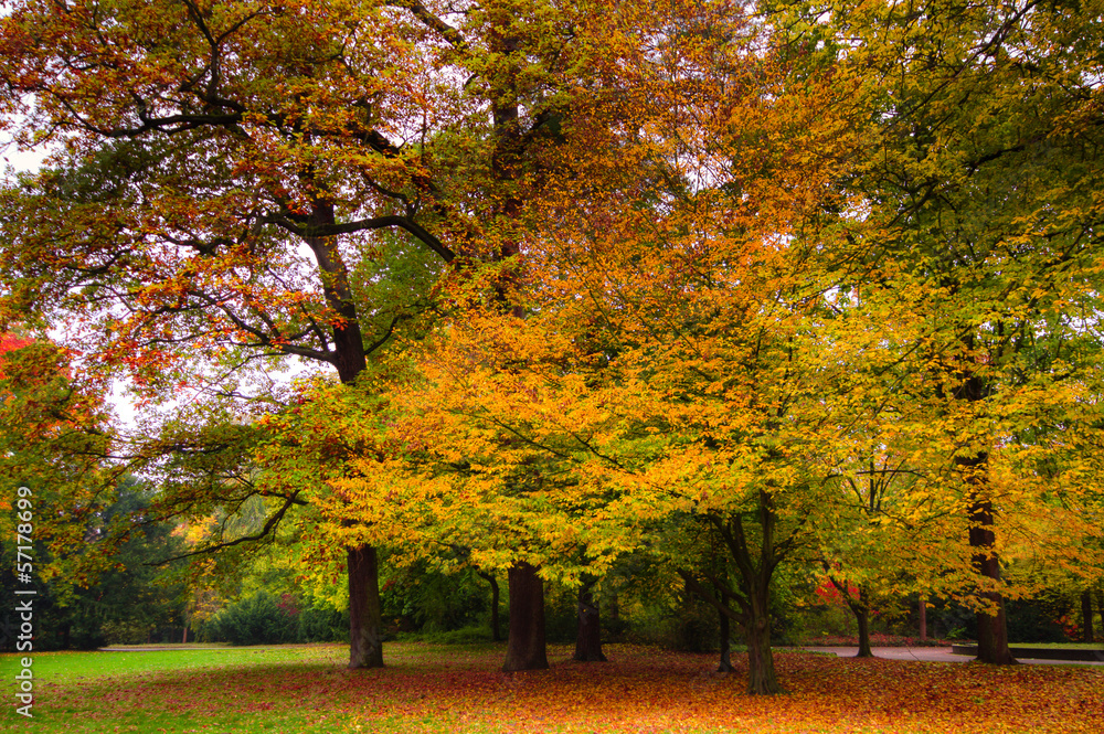 Herbstimpression