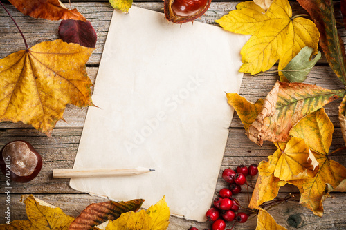 Fotografie Autumn leaves