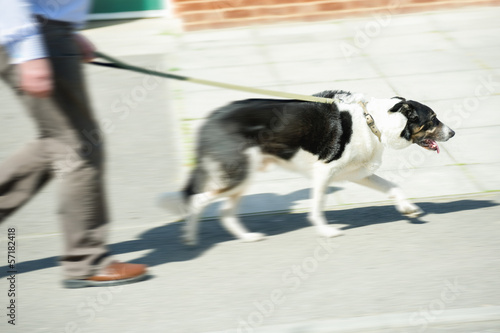 motion blur of a man walking the dog