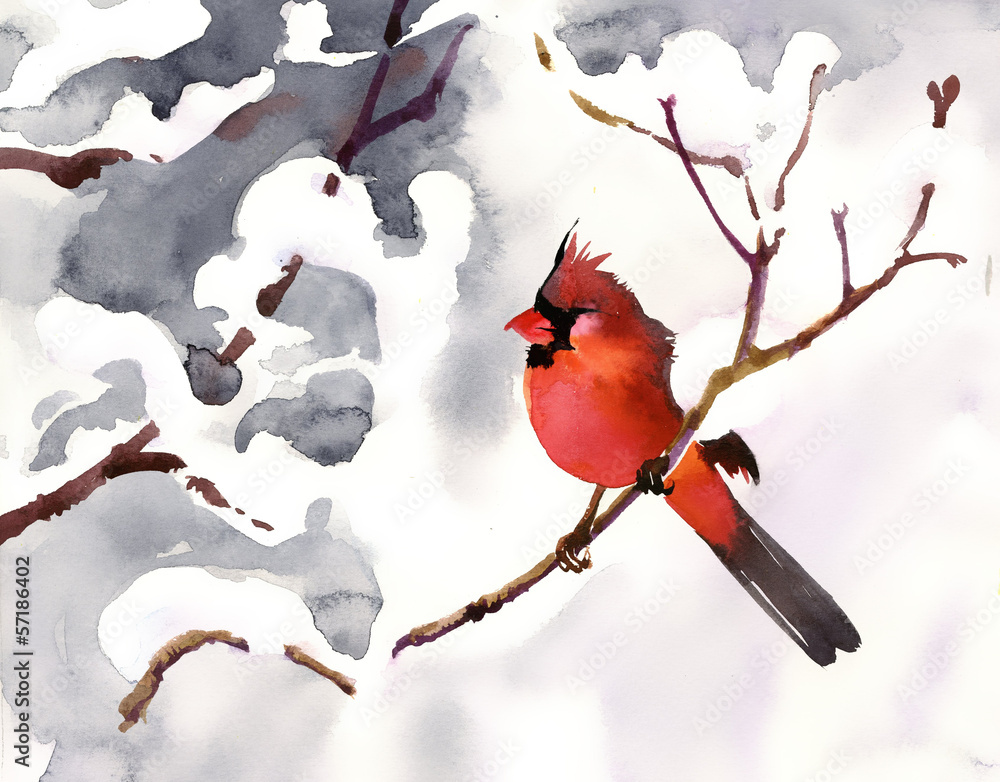 Obraz premium Red bird on a branch with snow