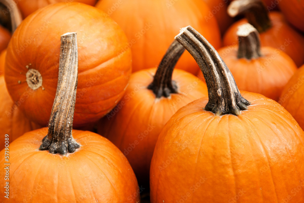 Fresh pumpkins Fresh pumpkins