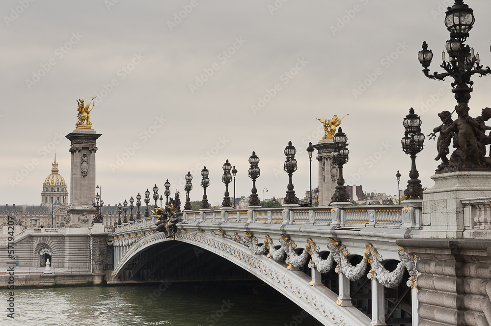 Bridge  Alexandre III in Paris