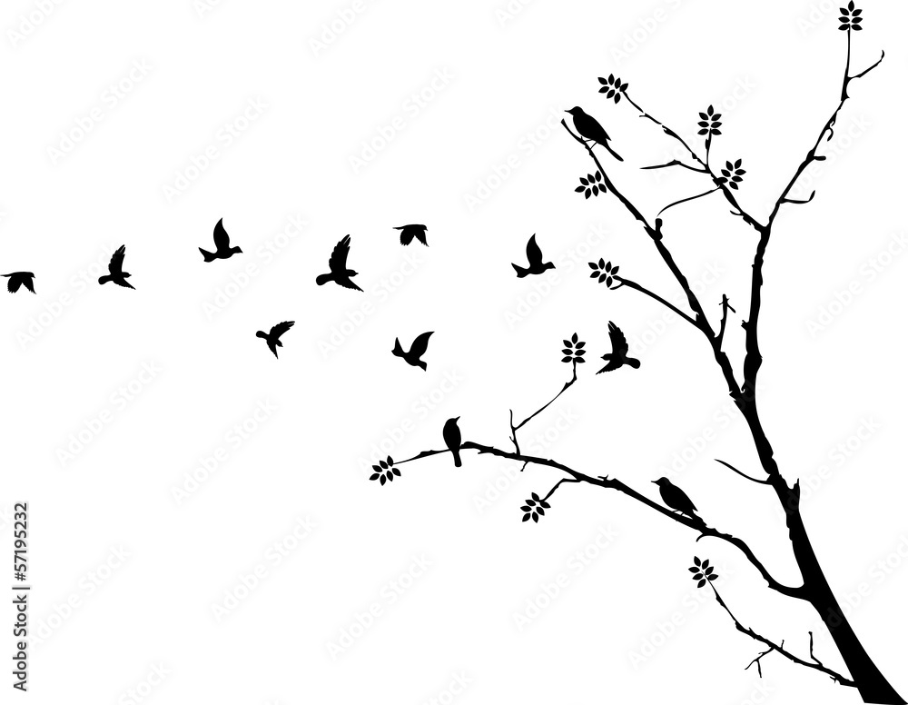 Fototapeta tree silhouette with birds flying