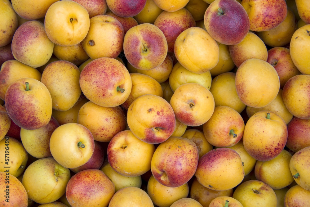 apricots apricots