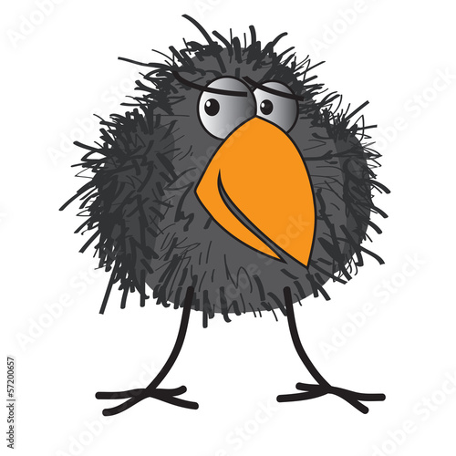 shaggy crow