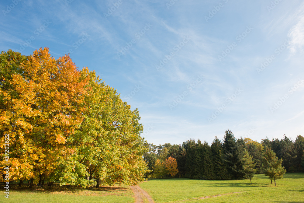 Colorful autumn Colorful autumn