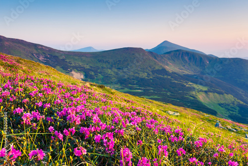 mountain landscape