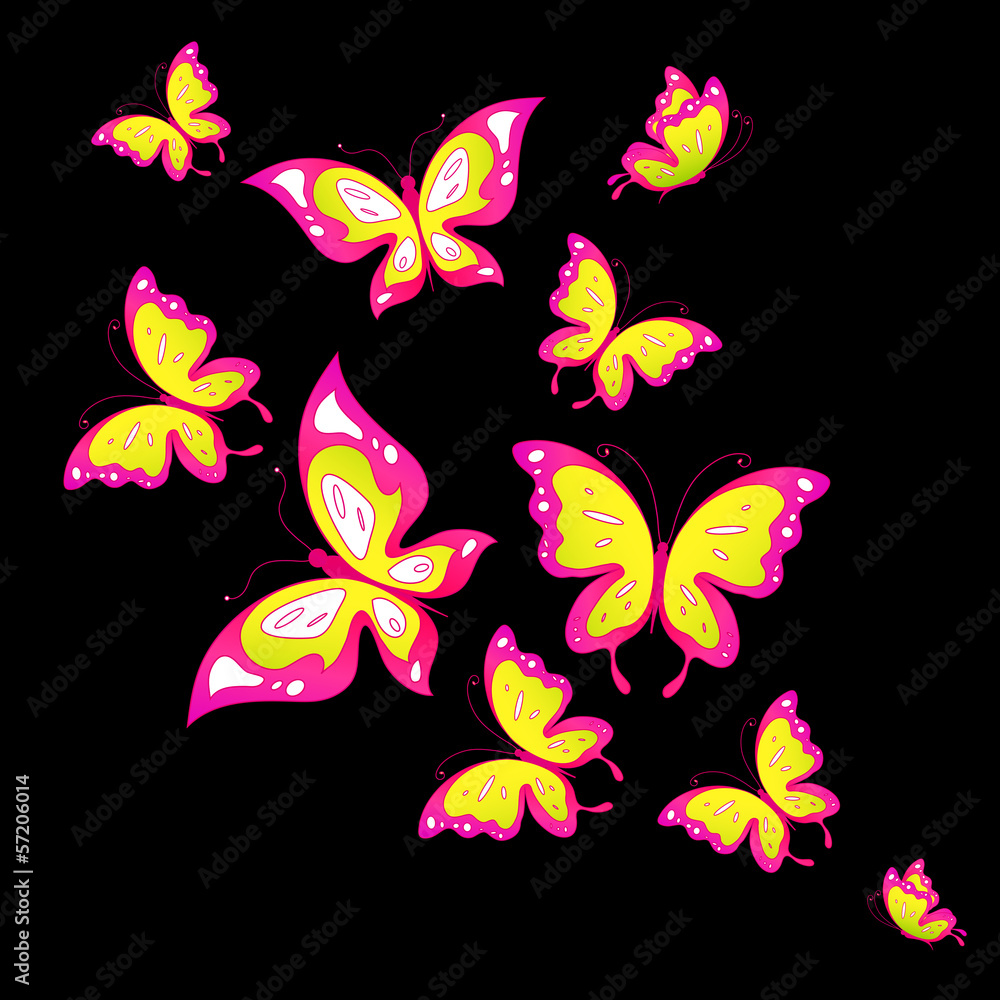 butterflies design butterflies design