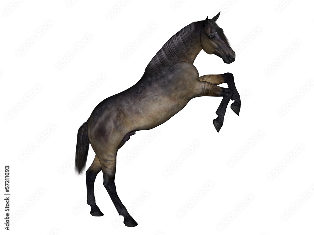 馬 馬