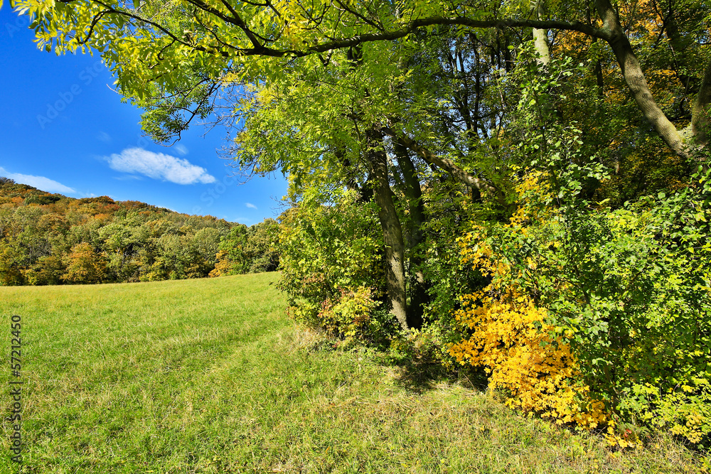 Landschaft im Herbst