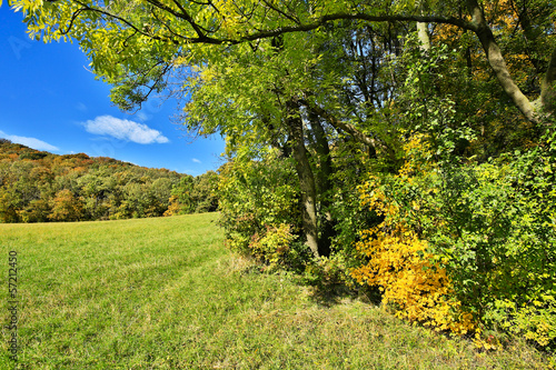Fototapeta Naklejka Na Ścianę i Meble -  Landschaft im Herbst