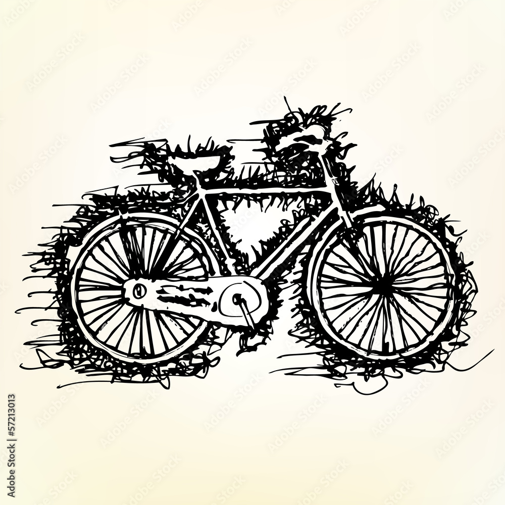 Obraz premium sketch drawing of bicycle vector