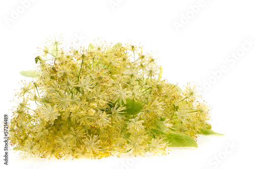 Bouquet of lime