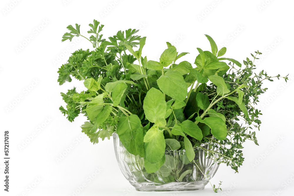 Fresh herbs, thyme mint parsley Fresh herbs, thyme mint parsley