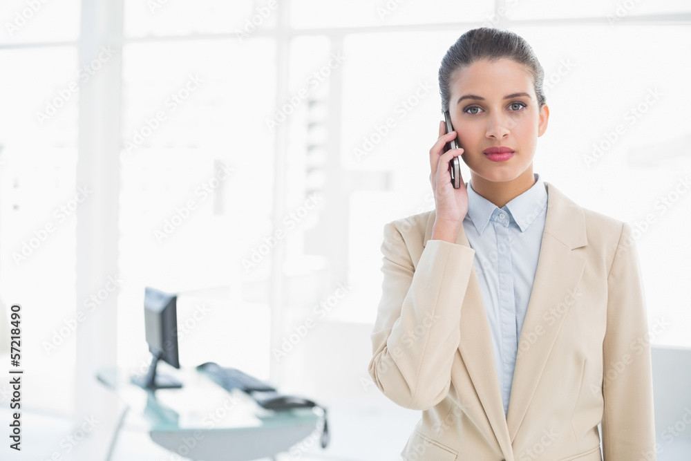 Stern smart brown haired businesswoman calling with her mobile p Stern smart brown haired businesswoman calling with her mobile p