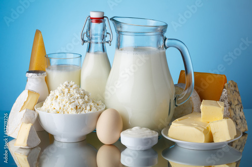 Dairy products, milk, cheese, egg, yogurt