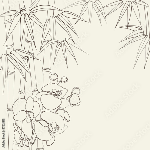 Orchid flowers and bamboo.