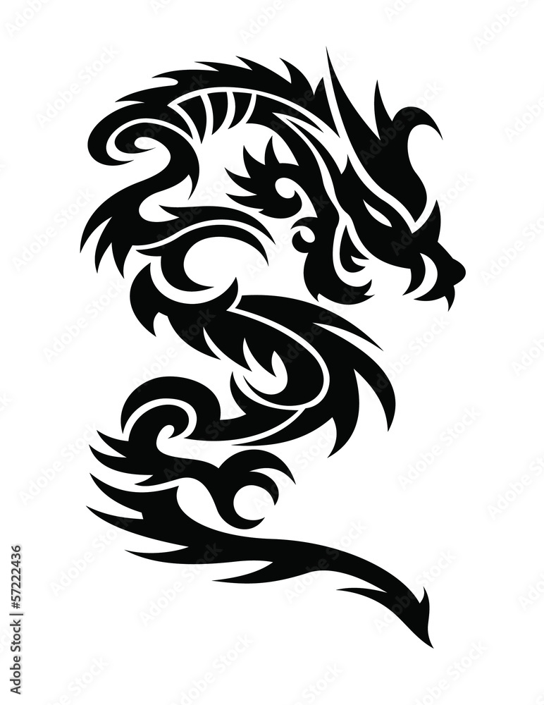 dragons illustration dragons illustration