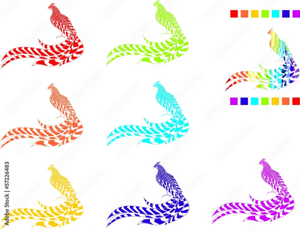 Obraz premium Pheasants painted in the colors of the rainbow