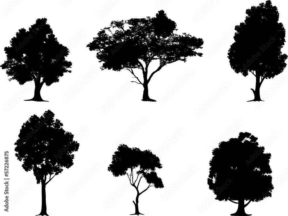Vector illustration of tree silhouettes - obrazy, fototapety, plakaty 