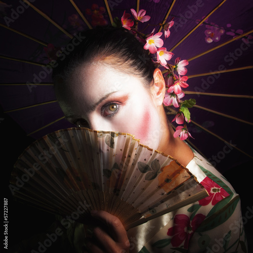 Geisha photo