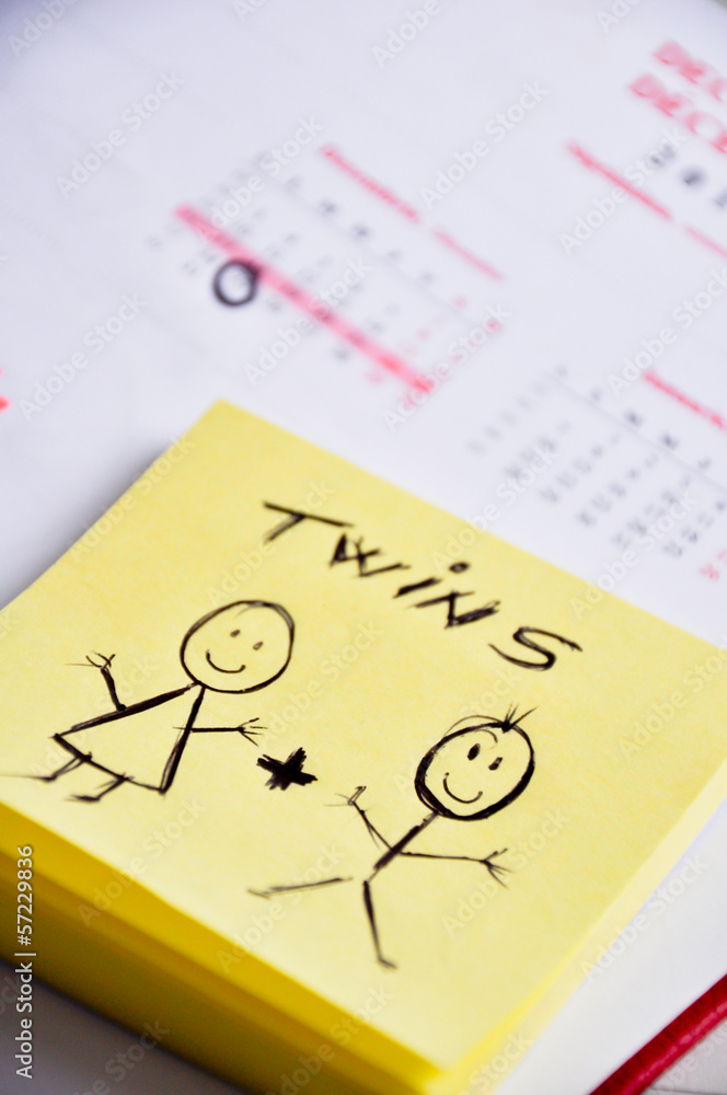 parents expecting twin babies parents expecting twin babies