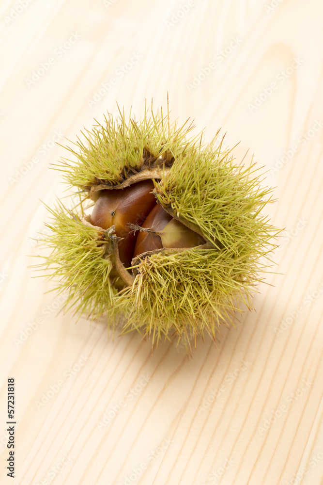 木のテーブルに1個のイガグリ