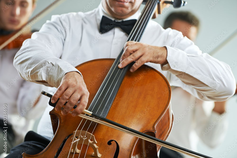 Fototapeta premium Classical music concert