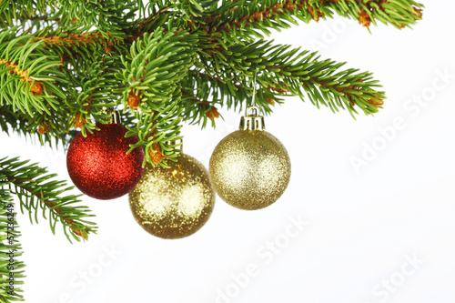 Christmas decoration on fir