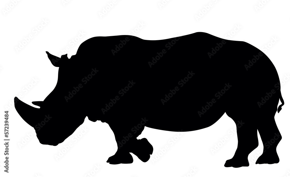 Rhino silhouette Rhino silhouette