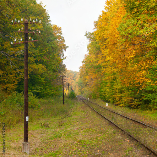 Railroad track and Autumn forest