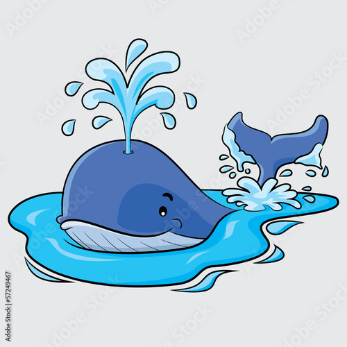 Whale Cartoon
