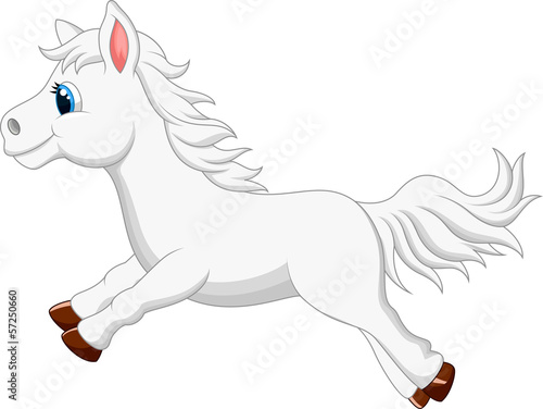 Cute white pony horse running