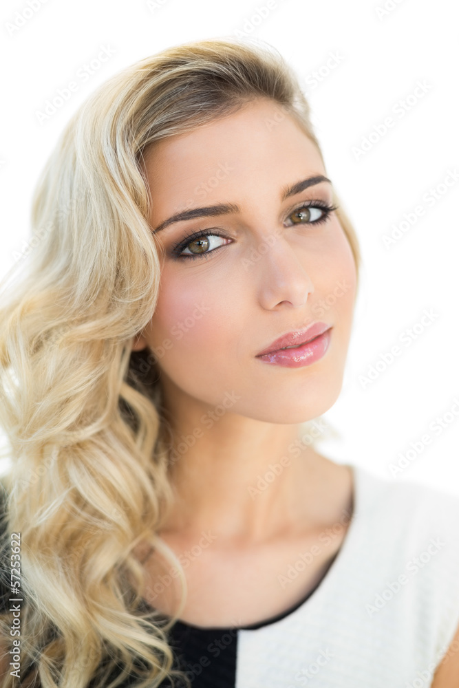 Slightly content smiling blonde model looking at camera Slightly content smiling blonde model looking at camera