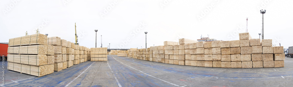 Fototapeta premium Timber wood piles deposit for export