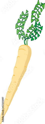 Parsnips