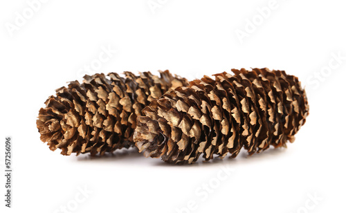 Fir cones isolated on white photo