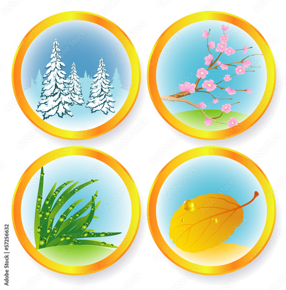 Four seasons. Vector. Four seasons. Vector.