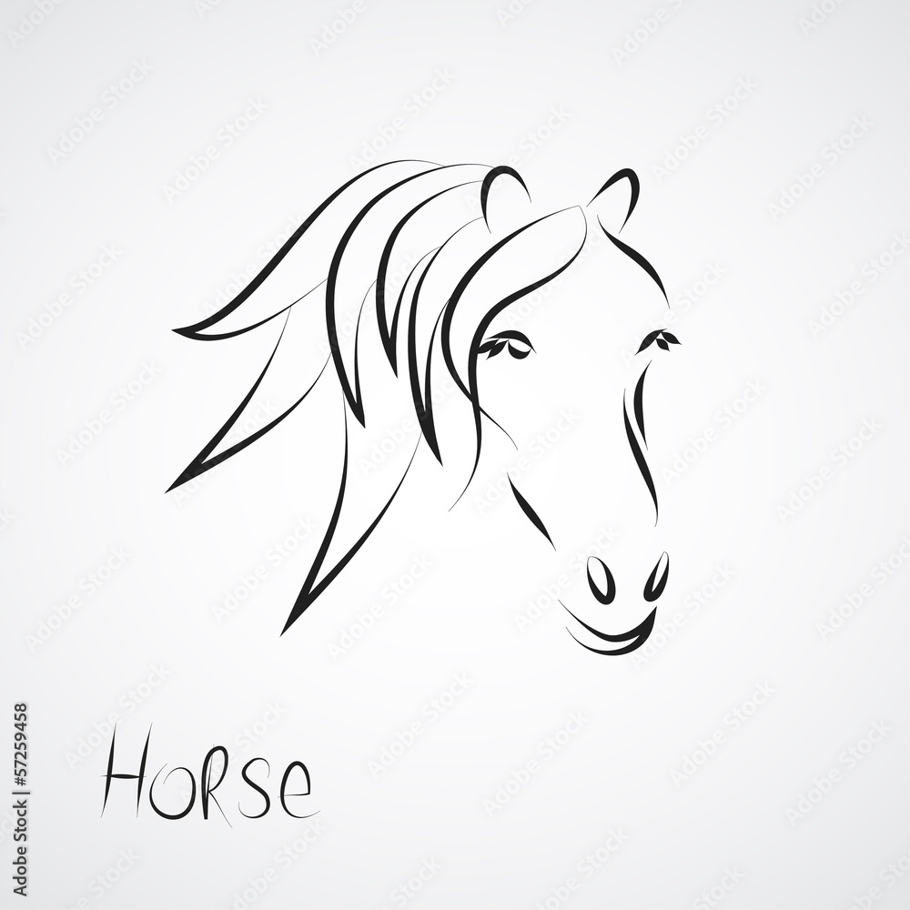 a hand-painted horse symbol vector