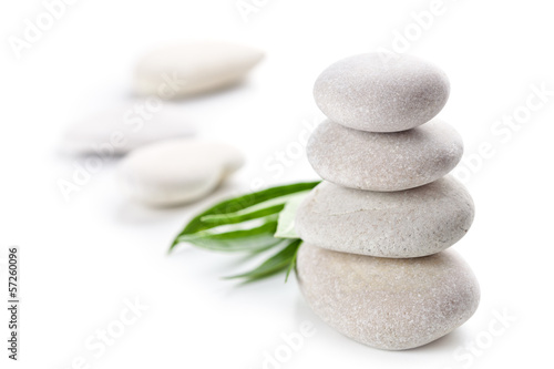 stones and green leaves