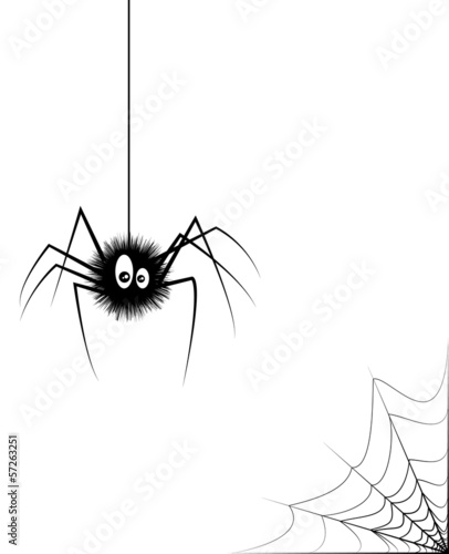 spider