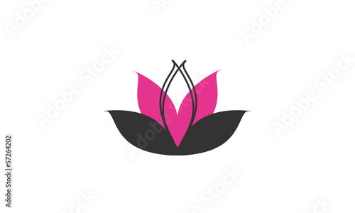 Concept lotus rose