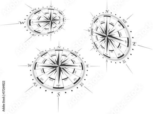 Compass roses in perspective